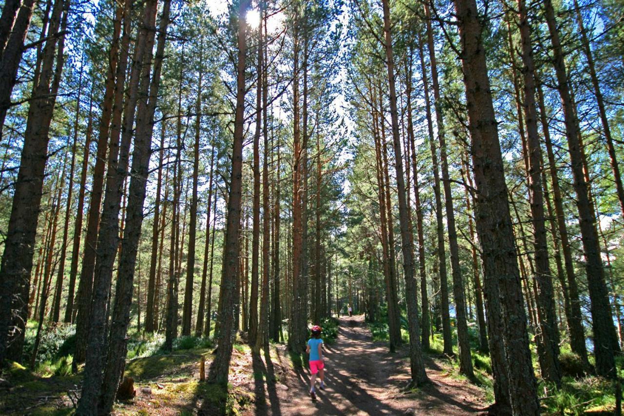 Tigh Na Lochan Aviemore Buitenkant foto